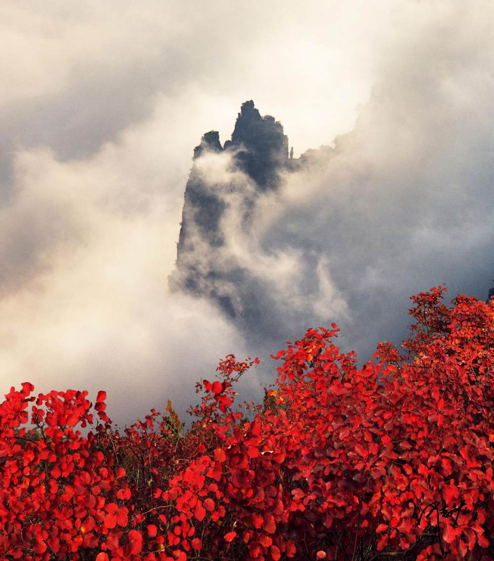 诗歌里的红叶节，把巫山唱给你听