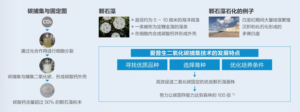 图形用户界面, 文本, 应用程序, 网站

描述已自动生成