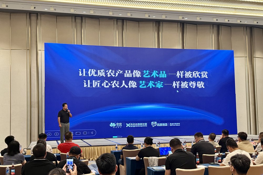 人们在看台上的人群

中度可信度描述已自动生成